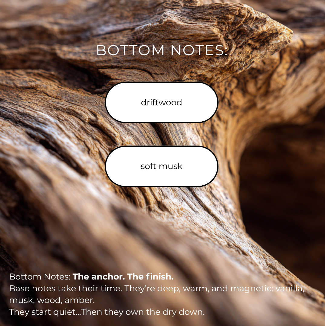 Close-up of driftwood with 'bottom notes' text and labels on a blurred background